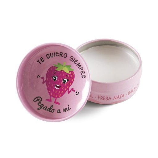 THE FRUIT COMPANY BALSAMO LABIAL FRESA N